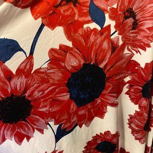 LulaRoe Nicki Dress - 3XL